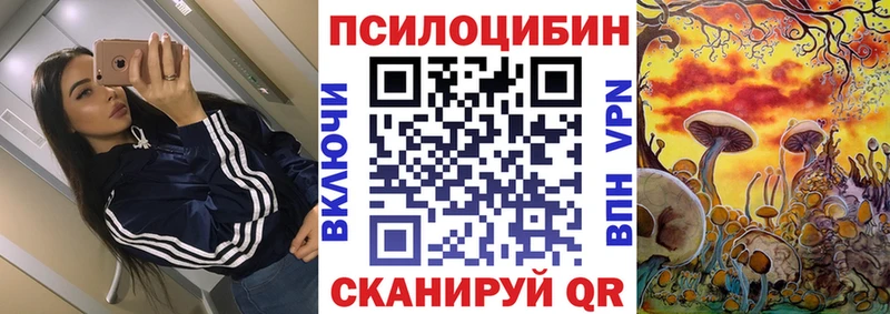 где купить наркоту  Приморск  Галлюциногенные грибы Psilocybe 